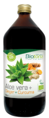 Biotona Aloe & ginger & curcuma bio 1000ml