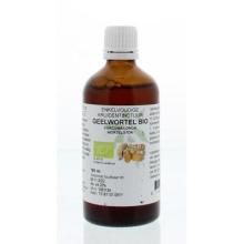 Natura Sanat Curcuma longa / geelwortel tinctuur 100ml