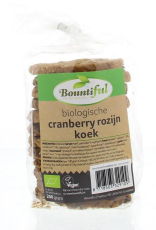 Bountiful Cranberry Rozijnkoek Bio 250gr