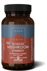 Terranova Mushroom Synergy Complex 50ca