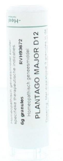 Homeoden Heel Plantago Major D12 6g