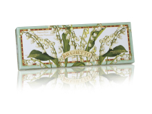 saf fiorentino Zeep lily 3 Stuks