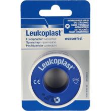 Leukoplast Eurolock 5 M x 2.50 CM 1 Stuk