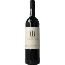 Amoreira D Torre Rood 2017 Bio 750 ML