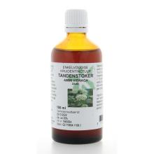 Natura Sanat Ammi visnaga / tandenstoker tinctuur 100ml