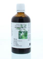 Natura Sanat Galeopsis tetrahit herb / hennepnetel tinctuur 100ml