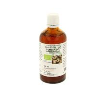 Natura Sanat Zingiber officinalis rhiz / gember tinctuur bio 100ml
