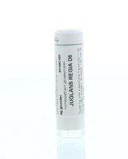 Homeoden Heel Juglans regia D6 6G