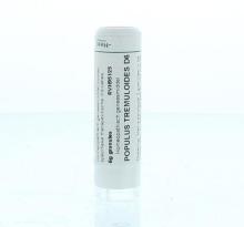 Homeoden Heel Populus Tremuloides D6 6 G