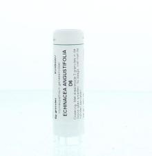 Homeoden Heel Echinacea Angustifolia D6 6 G