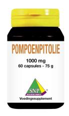 SNP Pompoenpitolie 1000 mg 60 Capsules