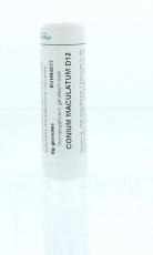 Homeoden Heel Conium maculatum D12 4g