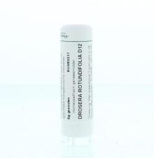 Homeoden Heel Drosera rotundifolia D12 4G