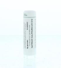 Homeoden Heel Natrium Sulphuricum D12 4g
