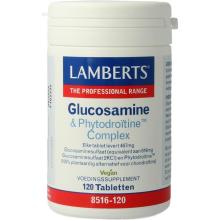 Lamberts Glucosamine & Phytodroitine Complex 120 Tabletten