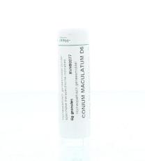 Homeoden Heel Conium Maculatum D6 6 G