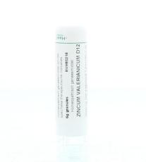 Homeoden Heel Zincum Valerianicum D12 6 Gram
