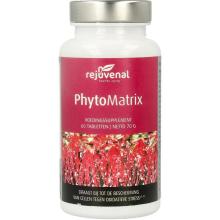 Rejuvenal Phytomatrix 60 Tabletten