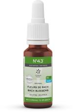 lemonpharma bach Bach Bloesems Mengeling 43 Motivatie Bio 20 ML