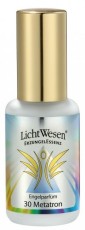 Lichtwesen Metatron tinctuur 30 30ml