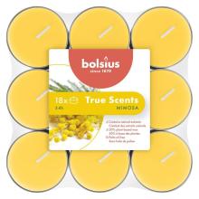 Bolsius True Scents Mimosa Geurtheelichten 18 Stuks