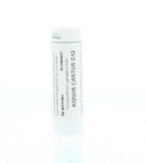 Homeoden Heel Agnus castus D12 6g