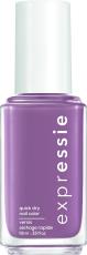 essie Nagellak Expr 220 Get A Mauve 1 Stuks 1stuks