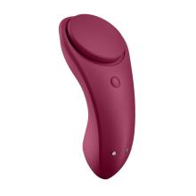 Satisfyer Sexy Secret Panty Vibrator App 1 St 1st