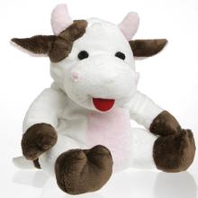 Spruyt Hillen Cherry belly sr koe 1st