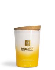 horomia Geurkaars Vaniglia E Benzoino 350gr