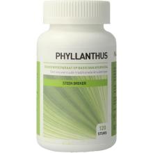 Ayurveda Health Phyllanthus niruri 120tb