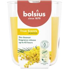 Bolsius Geurglas 97/85 True Scents Peach 1 St 1st