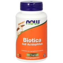 Now Biotica 4 x 6 Acidophilus 120 Vegicaps