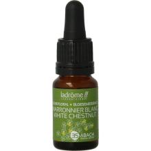 LaDr&ocirc;me White chestnut / paardekastanje bio 10ml