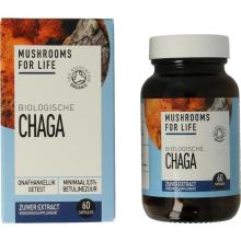 mushrooms f life Chaga bio 60ca