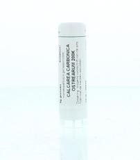 Homeoden Heel Calcarea carbonica 0 200K 6g