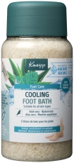 Kneipp Cooling Alo&euml; Vera Watermunt Voetbadkristallen 600 Gram