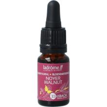 LaDrôme Bloemessence walnut bio 10ml