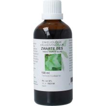 Natura Sanat Ribes Nigrum Fol/zwarte Bes 100 Ml 100ml