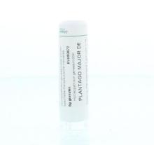 Homeoden Heel Plantago Major D6 6 Gram