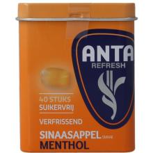 Anta Refresh Sinaasappel Menthol Suikerv 72 Gr 72gr