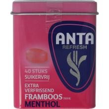 Anta Flu Refresh Framboos Menthol Suikervrij 72 Gram