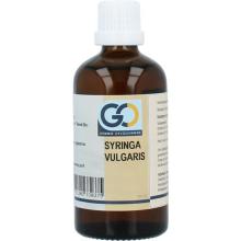 Go Syringa vulgaris bio 100ml