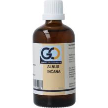 Go Alnus incana bio 100ml