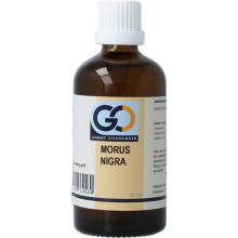Go Morus nigra bio 100ml