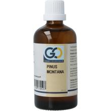 Go Pinus montana bio 100ml