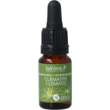 LaDr&ocirc;me Clematis bio 10ml