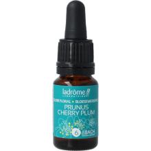 LaDr&ocirc;me Cherry plum bio 10ml