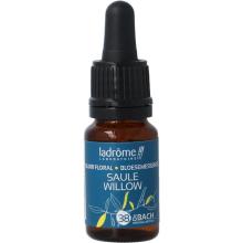 LaDr&ocirc;me Willow bio 10ml