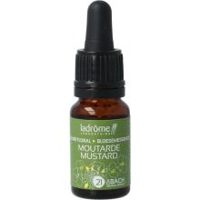 LaDr&ocirc;me Mustard bio 10ml